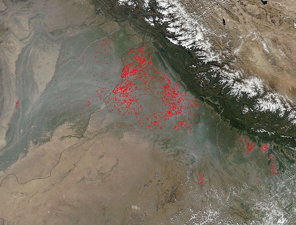 Delhi Smog Reveals Global Failure To Act On Climate Change